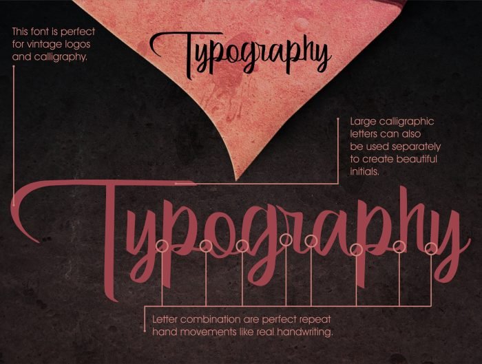 Bertha Script - Image 6