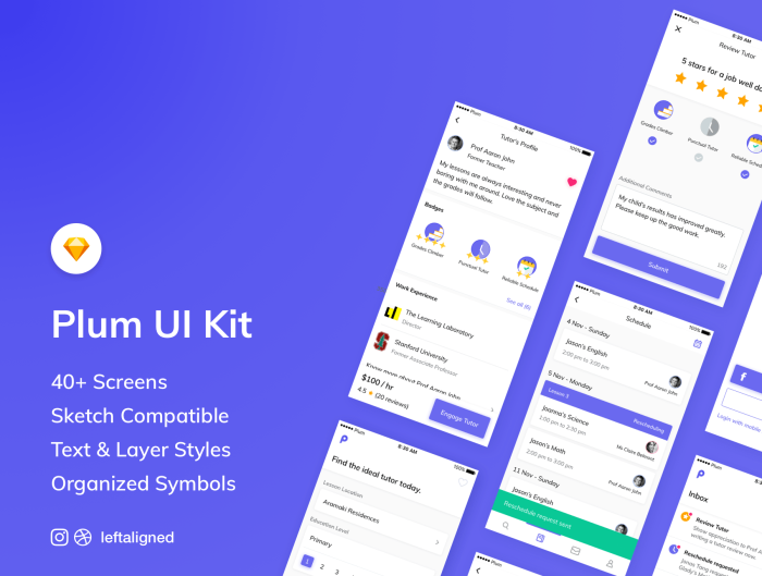 detail-image_1544898300648 Plum iOS UI Kit - Image 1