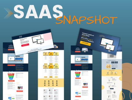 SAAS Snapshot