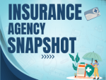 Insurance Agency Snapshot